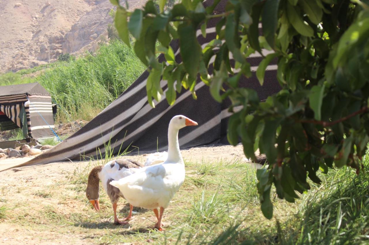 Wadi Al-Hassa Camp Hotel Khawkhah Eksteriør billede