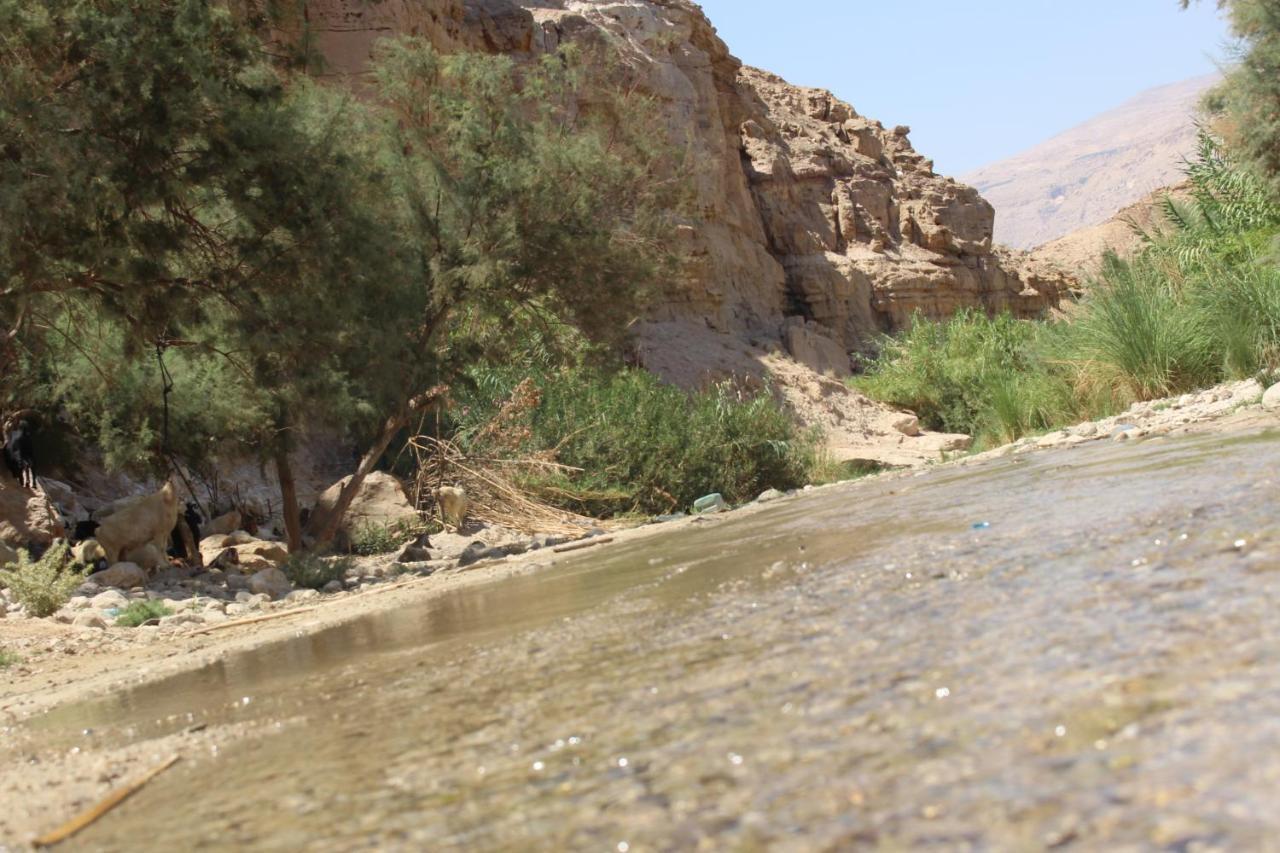 Wadi Al-Hassa Camp Hotel Khawkhah Eksteriør billede