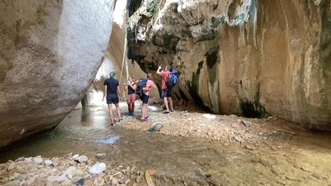 Wadi Al-Hassa Camp Hotel Khawkhah Eksteriør billede