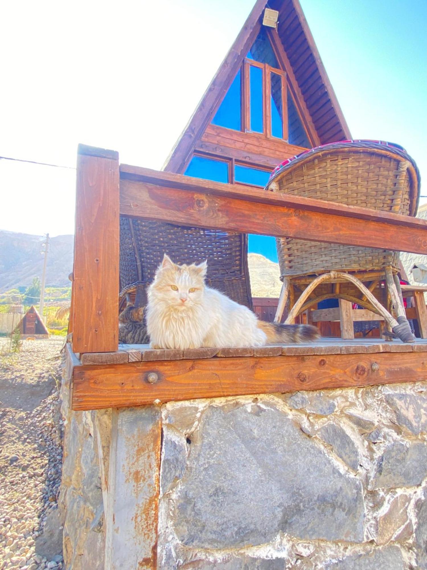 Wadi Al-Hassa Camp Hotel Khawkhah Eksteriør billede